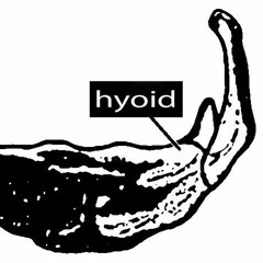 HYOID contemporary voices