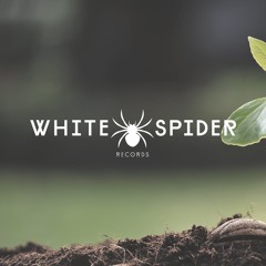White Spider Records