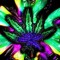 KingChronic