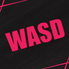 Tyler Johnson (WASD)
