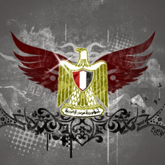 ‫بولا ناجى‬‎