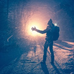 KOIVULA