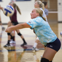 ALHS Volleyball Team