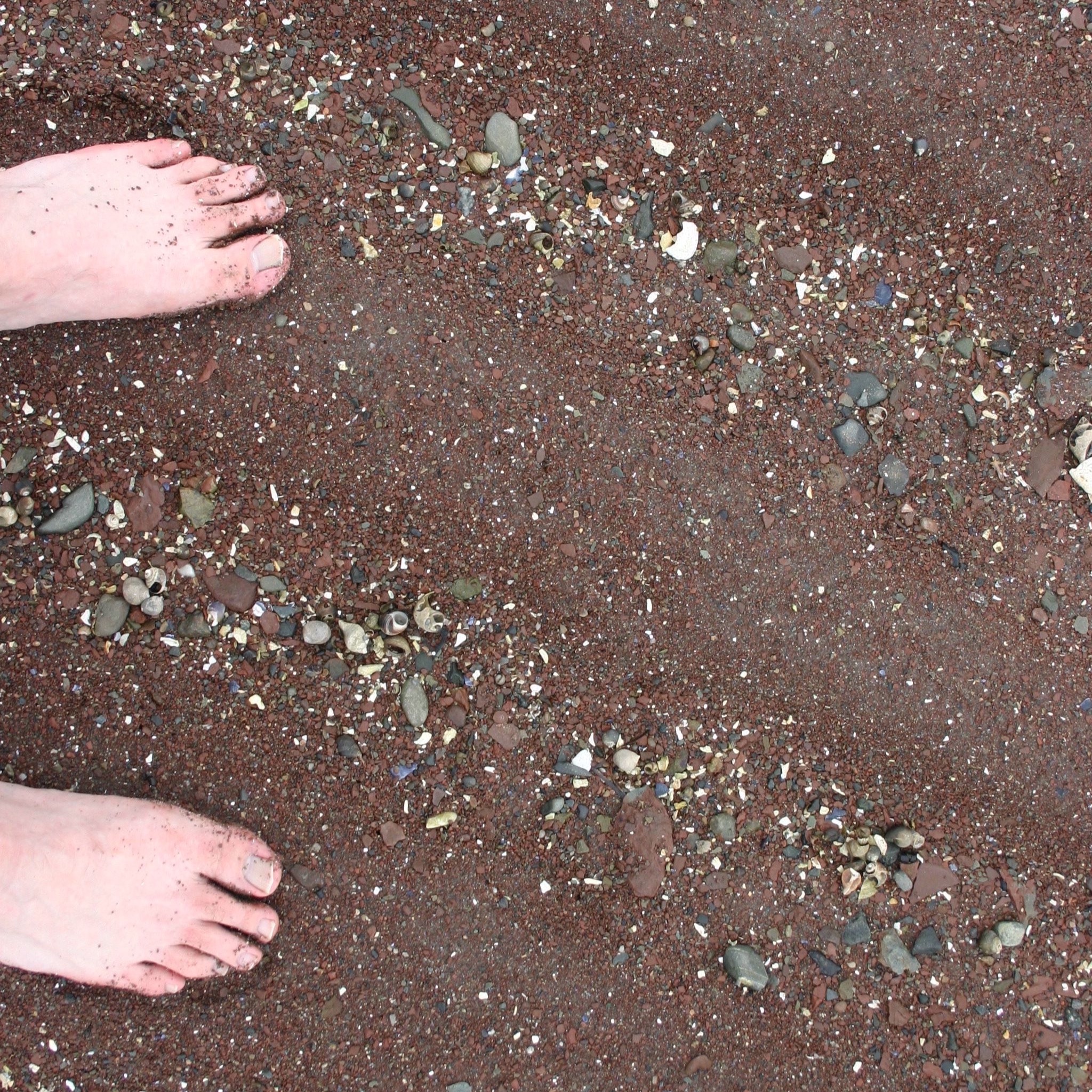 The Barefoot Project