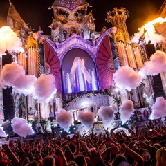 Dimitri Vegas & Like Mike - Bringin Home The Madness 2013 (full Set)