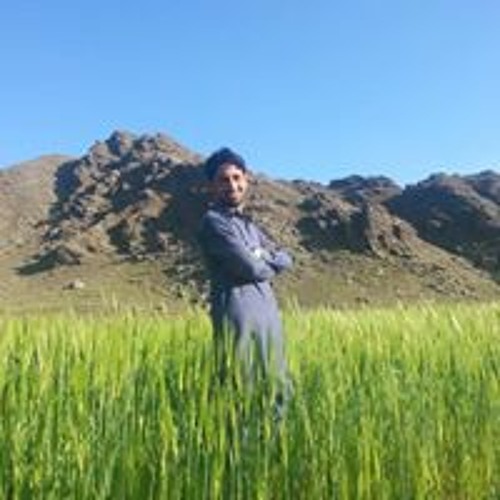 Amjad Safi’s avatar