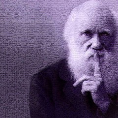 Darwin