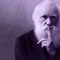 Darwin