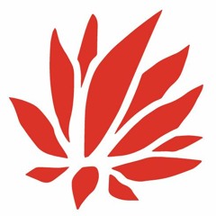 Lotus World Music & Arts Festival