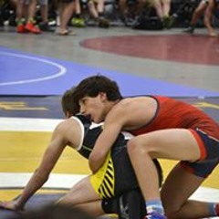 Matt Benedetti