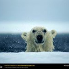 David Ibañez Cabrejas