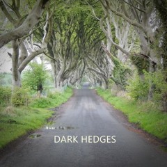 Dark Hedges
