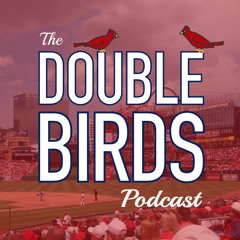 The Double Birds Podcast