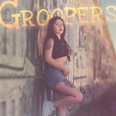 Revista Groopers