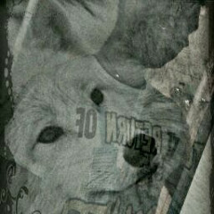 User 281321190
