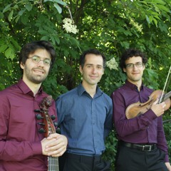ensemble ludi musici