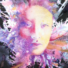 Kelly Moe - Catalogue 2