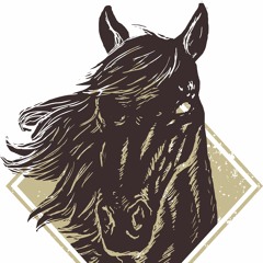 Mustang Blues Brothers