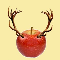 Hohnepipel und Lackmeier