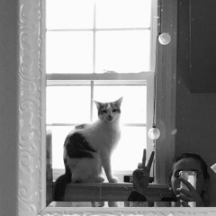 Katharine