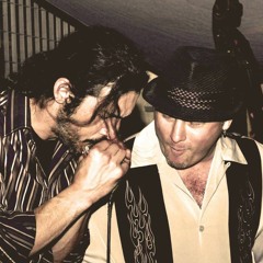 THE WINDY CITY BLUES BAND