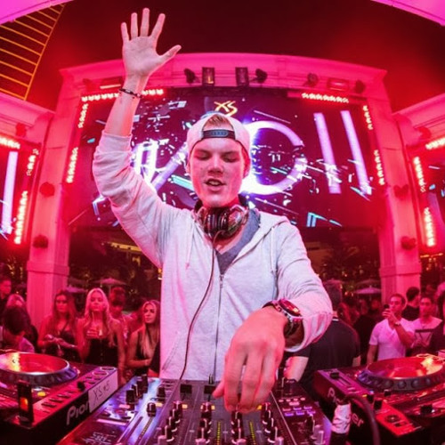 tim bergling levels tim bergling levels