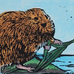 HECTOR MICHALOPOULOS