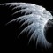 Maximum Ride