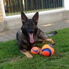 Maiken Dalgaard Kehlet