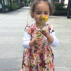 شمس شمي شمس شمس