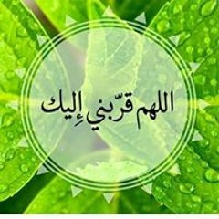 محمود طنطاوى