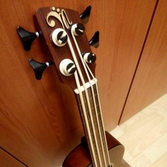 Luis Merino Bass