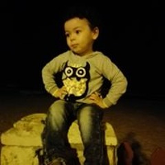 Mohsen Gamal Mongy