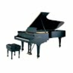 Musicasa pianos teclados