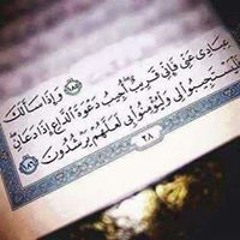 محمد الهيتى