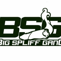 Big Spliff Gang