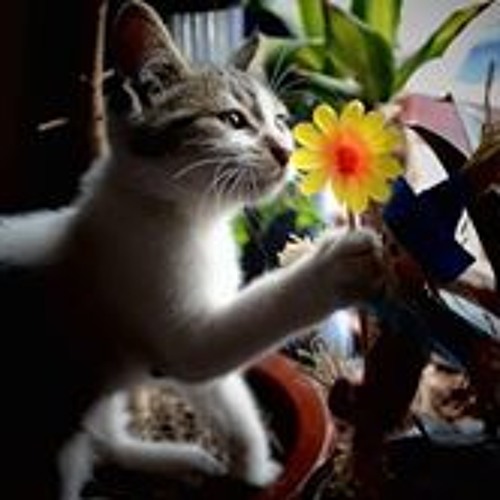 Numata Pesona By Araya Ismail On Soundcloud Hear The World S Sounds