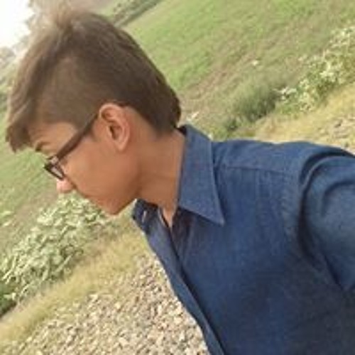 Aown Naqvi’s avatar
