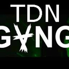 TDN