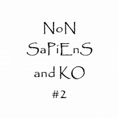 Non Sapiens and Ko #2