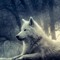 xX_EliteWolf_Xx