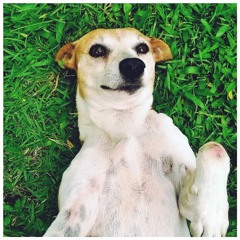 MAXXX