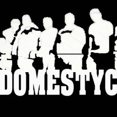 DOMESTYC INC.