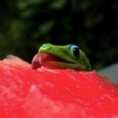greenapplepi