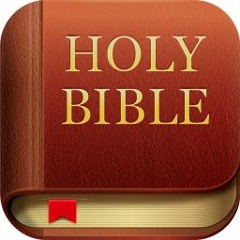Any Time Bible