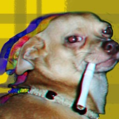 Dums Nyds