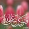 Abdelrahman Badawy
