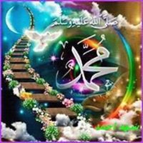Nasr Yasser’s avatar