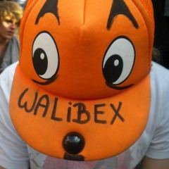 MrWalibex
