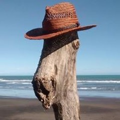 peacefrog_iv